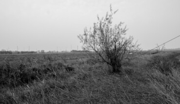 Restare soli