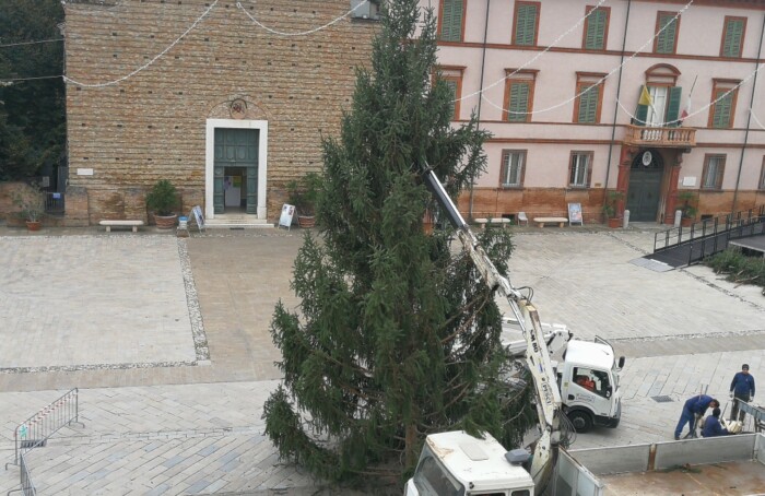 Albero Natale 2