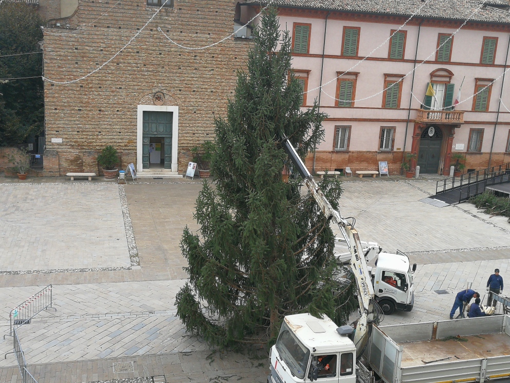 Albero Di Natale Grande.In Piazza A Cervia E Gia Arrivato L Albero Di Natale Un Abete Donato Da Pinzolo