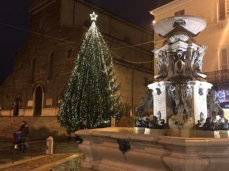 Albero Faenza