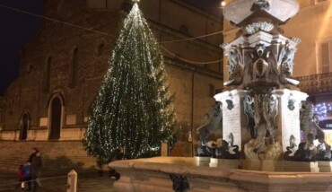 Albero Faenza
