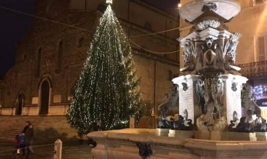 Albero Faenza