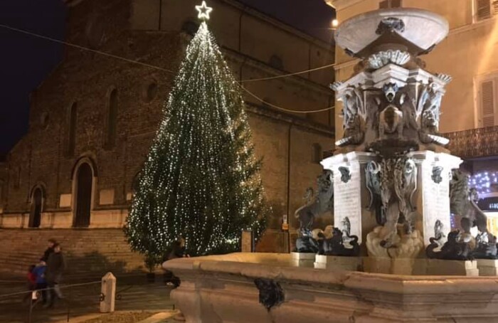 Albero Faenza