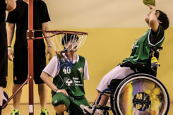 Basket Disabili