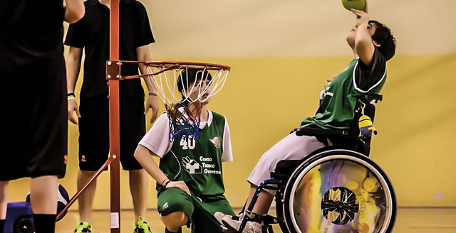 Basket Disabili