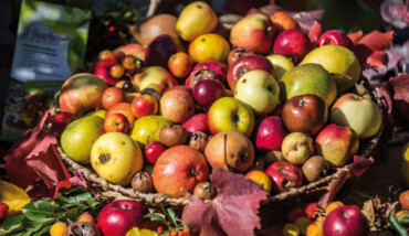 Frutti