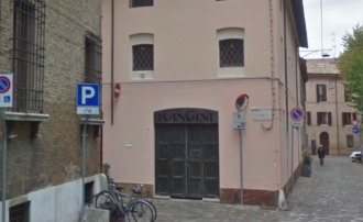 Gingini.jpg