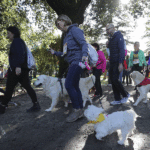 Maratona Cane Camminata