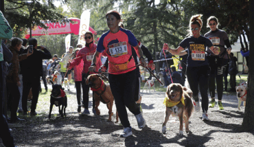 Maratona Cani Corsa