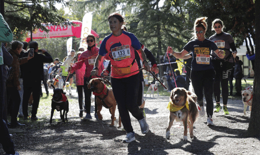 Maratona Cani Corsa