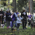Maratona Cani Giardini