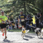 Maratona Corsa Cani