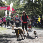 Maratona Corsa Cani Ravenna