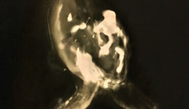 Numen