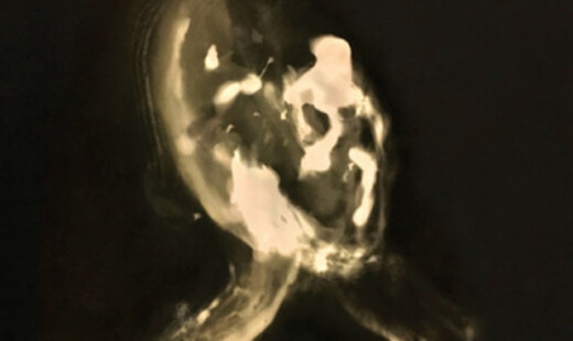 Numen