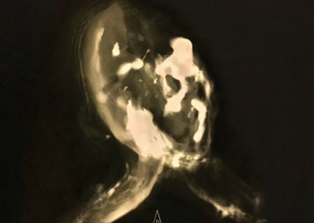 Numen
