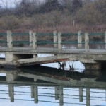 2019 12 28 Ponte Capanno Garibaldi6