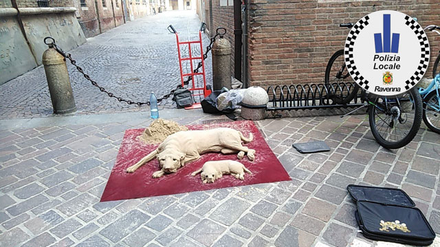 Accattonaggio Centro Storico