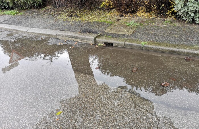 Via Mantegna A San Michele Dopo Ogni Minimo Acquazzone