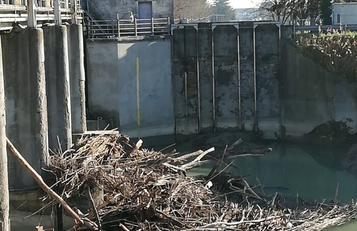 Attachment 2019 12 28T180658.002