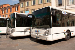 Autobus Piazza