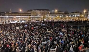 Sardine In Darsena