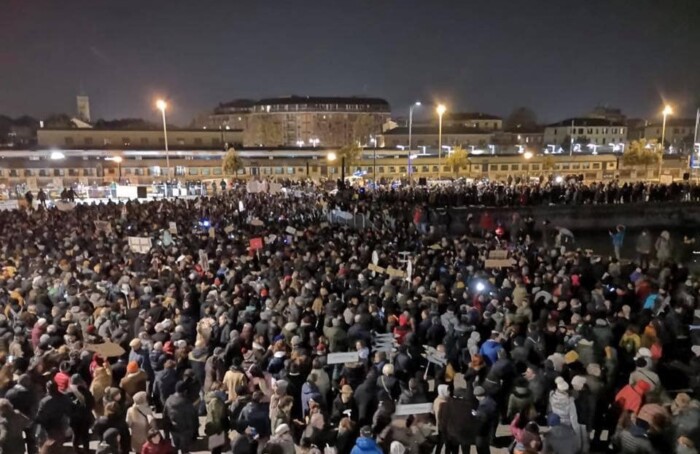 Sardine In Darsena