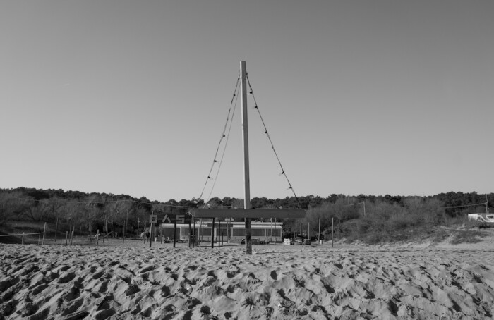 Solo come un albero