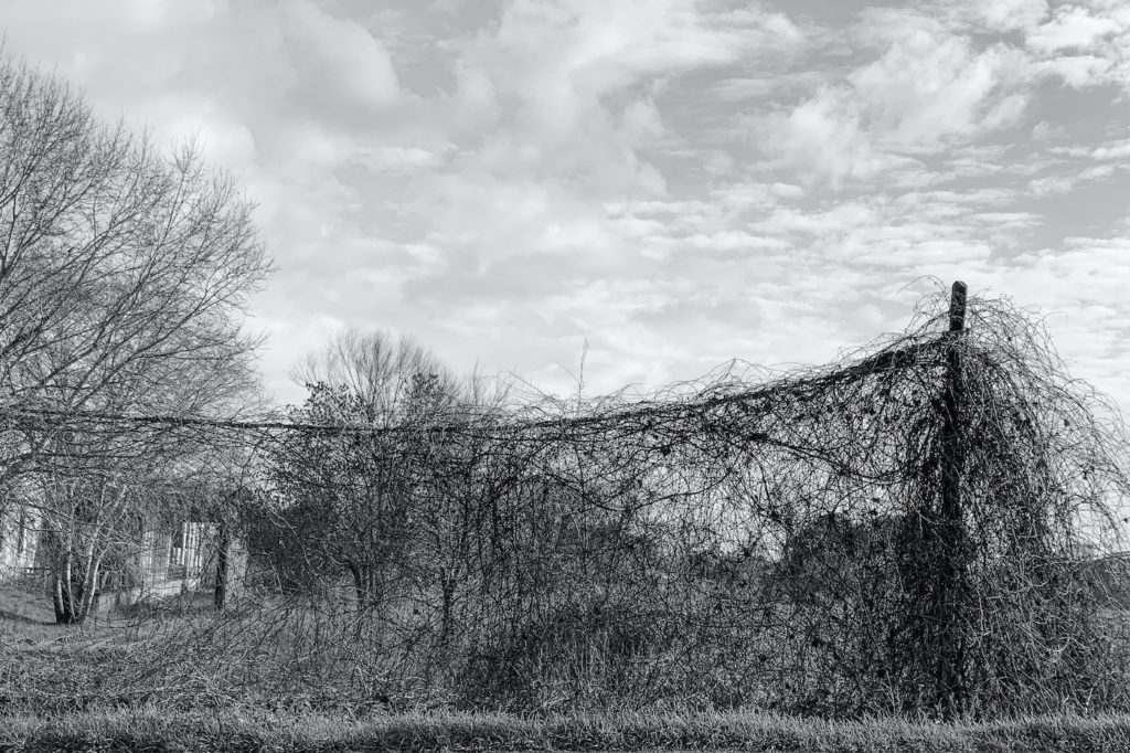 Cronache di una domenica mattina anomala