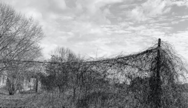 Cronache di di domenica mattina anomala