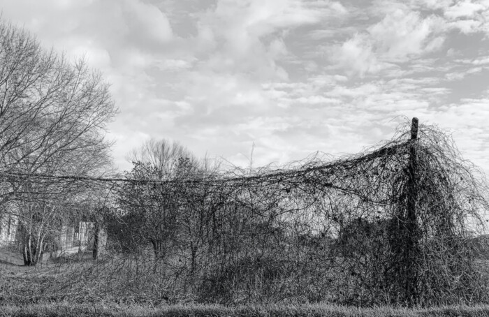 Cronache di di domenica mattina anomala
