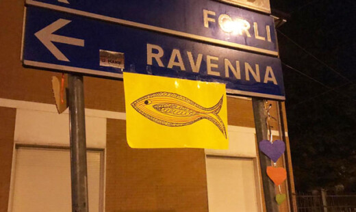 Sardine Spiv 11