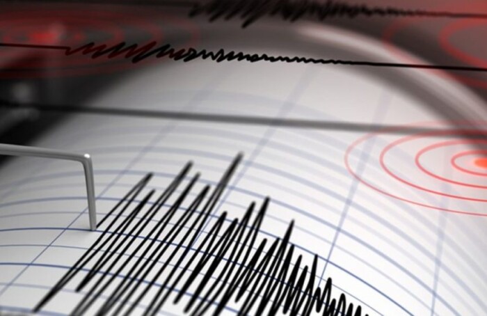 Terremoto Earthquake Sismografo 1440x564 C