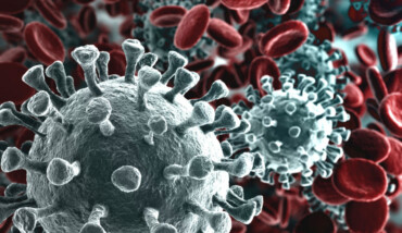 Corona Virus