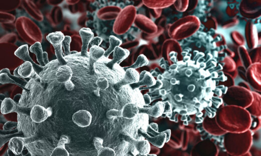 Corona Virus