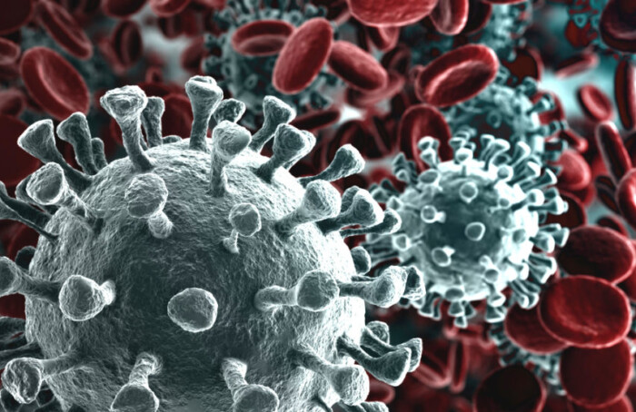 Corona Virus