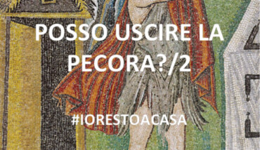 17 Abele San Vitale