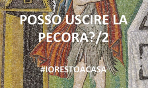 17 Abele San Vitale