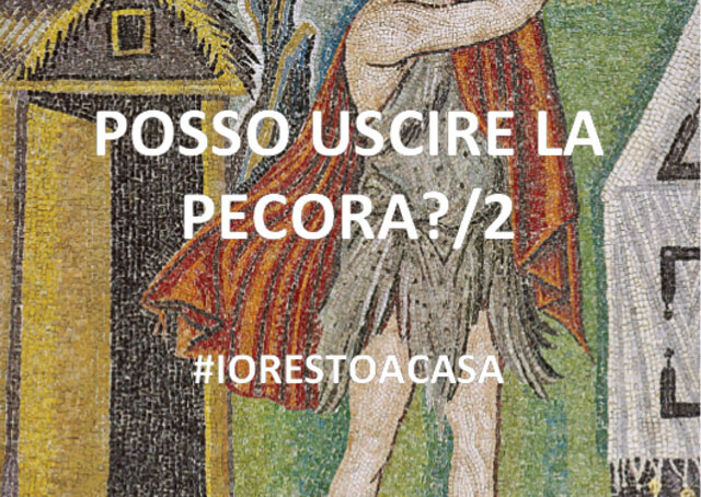 17 Abele San Vitale