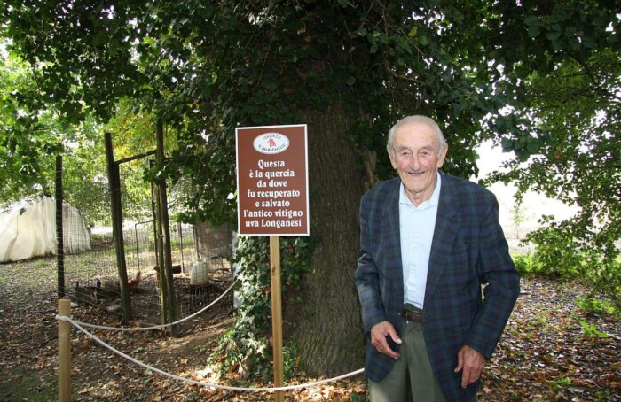 Antonio Longanesi Quercia Burson 1