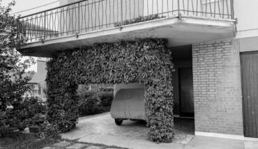 05042020 IMG 2263