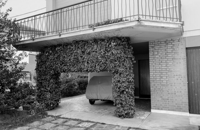 05042020 IMG 2263