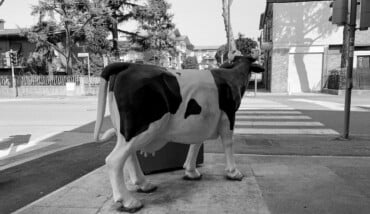 05042020 IMG 2277