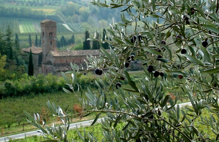 Brisighella