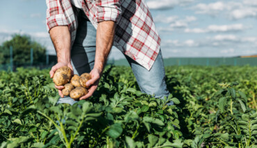 LavoroAgricoltura