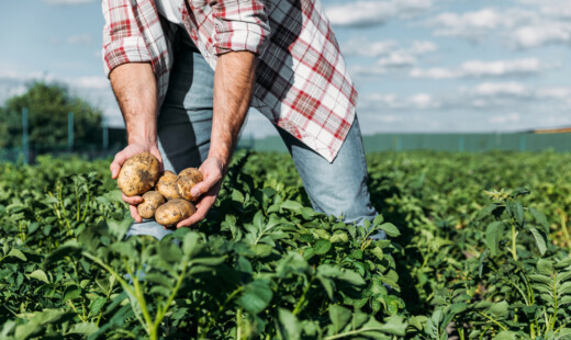 LavoroAgricoltura