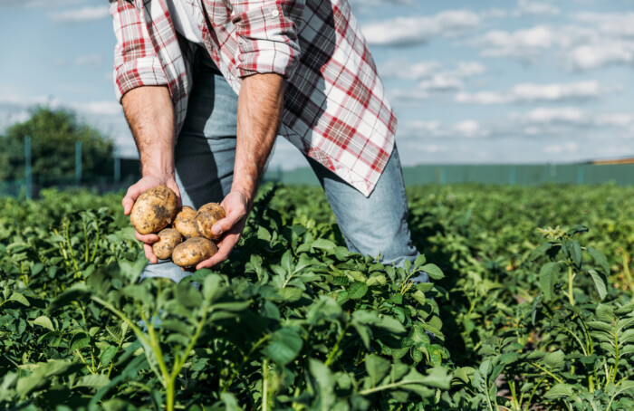 LavoroAgricoltura