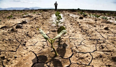 Siccità Agricoltura