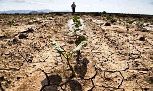 Siccità Agricoltura