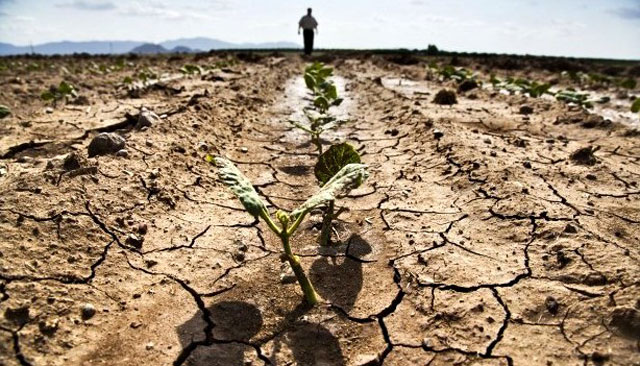 Siccità Agricoltura